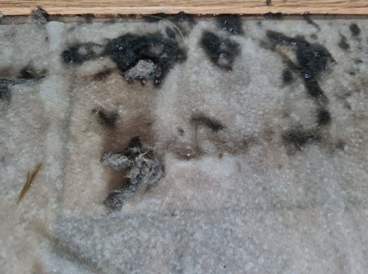 dust from radiator