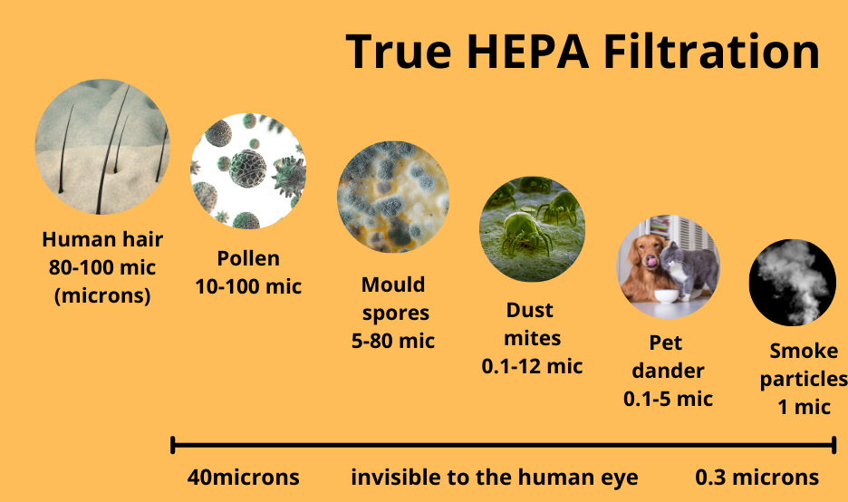 true hepa filtration